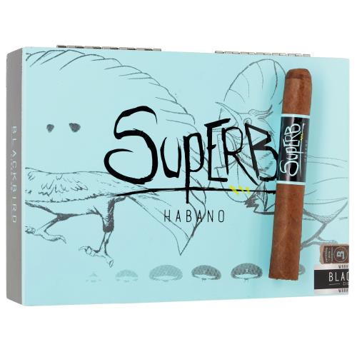 Blackbird Superb Toro 6  * 52