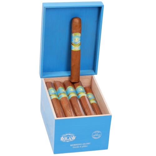 Southern Draw Morning Glory Gordo 6 1/2 * 60, Box of 20