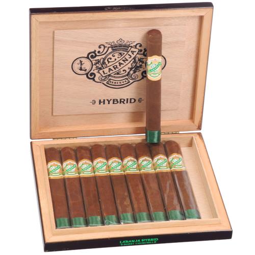 Laranja Hybrid Short Churchill 6  * 48