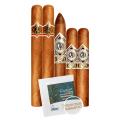 CAO Gold Taster, 5-cigar Sampler