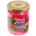 Smoke Odor Exterminator 13oz Jar Candle
