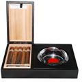 Cohiba Collection with Ashtray, 10-Cigar Sampler