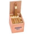Asylum Insidious Robusto 5  * 50