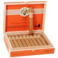 AVO XO Notturno 5  * 42
