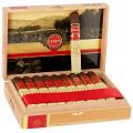 Eiroa The First 20 Years Robusto 5  * 50
