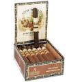 New World Puro Especial Short Churchill 6  * 48
