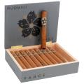 Room 101 The Farce Toro 6  * 54