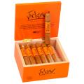 Blackbird Jackdaw Robusto 5  * 50