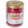 Smoke Odor Exterminator 13oz Jar Candle