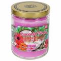 Smoke Odor Exterminator 13oz Jar Candle