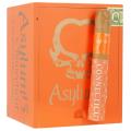Asylum 13 Connecticut Robusto 5  * 50