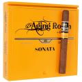 Aging Room Quattro Sonata Concerto 7  * 50