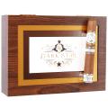 Rocky Patel Dark Star Robusto 5 1/2 * 50