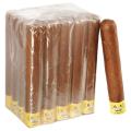 601 La Bomba F-Bomb 7  * 70
