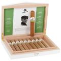 Sacrificio Junior Robusto 5  * 50