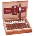Dalay Nicaragua Toro 6  * 52