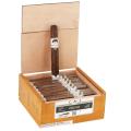CAO FASA Noche Toro 6  * 50