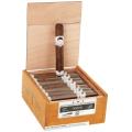 CAO FASA Noche Gigante 6  * 60