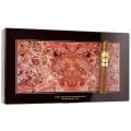 La Aurora Hors D Age 2023 Toro 5 3/4 * 54