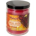 Smoke Odor Exterminator 13oz Jar Candle