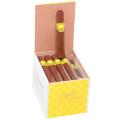 Asylum 13 Split Personality Robusto 5  * 50