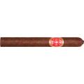 Dunbarton Tobacco & Trust Year of the Pausers 6 * 48