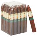 Casa 1910 Cavalry Edition Lucero 6  * 54