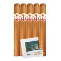 Red Anchor Commodore 5-Cigar Value Pack