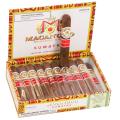 Macanudo Sumatra Robusto 5  * 50