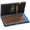 Warped Isla Del Cocodrilo Toro Grande Limited Edition 6 1/2 * 54