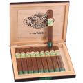 Laranja Hybrid Short Churchill 6  * 48