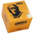 Aladino Gorbusto Chimp 4 1/2 * 60