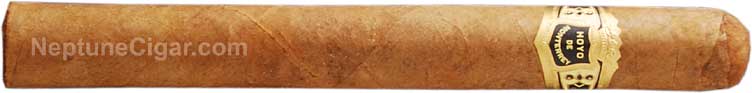 Hoyo de Monterrey Churchill 6 1/4 * 45