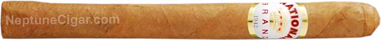 National Brand Cuban Seed Royal Palm 6 1/8 * 36