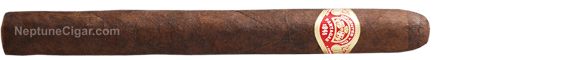 Partagas Maduro No. 10 7 1/2 * 49, Single
