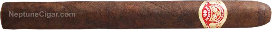 Partagas Maduro No. 10 7 1/2 * 49
