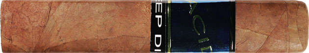 Acid Blue (Remi) Deep Dish 5 * 58