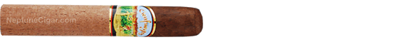 Cienfuegos Engine No. 5 5  *50