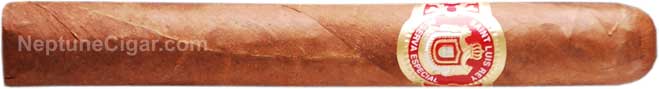 Saint Luis Rey Corona 5 1/2 * 44
