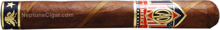 CAO America Constitution 6  * 50