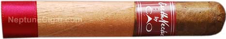 CAO Flavours Earth Nectar Petit Corona 4  * 40