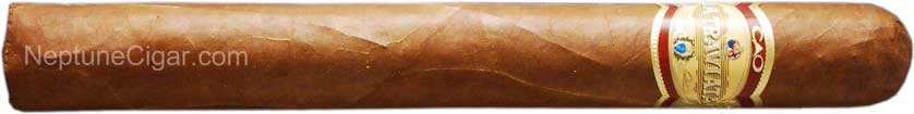 CAO La Traviata Intrepido 7  * 54