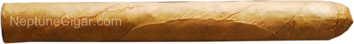 Trader Jacks Aromatic Cigars 61/4 * 45