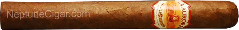La Aurora Cameroon Churchill 7  * 50