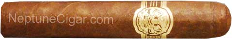 Room 101 San Andres Papi Chulo  4  * 42