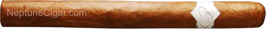 E by Esencia Churchill 7  * 47