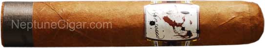 Wynwood Factory Fresh Rout Robusto 4 1/2 * 50
