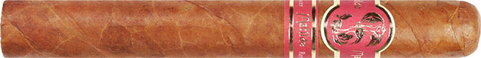Matilde Renacer Corona 51/2 * 44