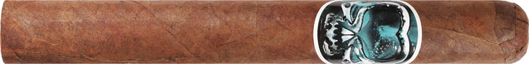 Asylum Schizo 50x6 6 * 50