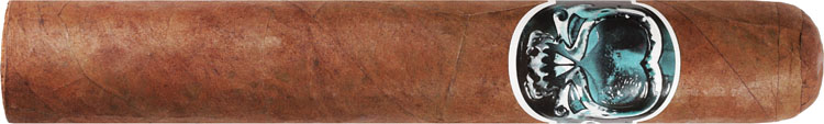 Asylum Schizo 60x6 6 * 60
